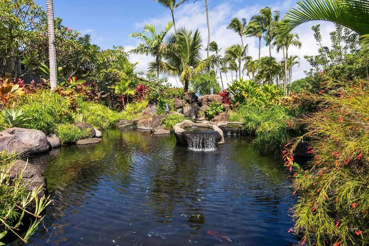 Napili Shores A202 Of Studio Condo カハナ