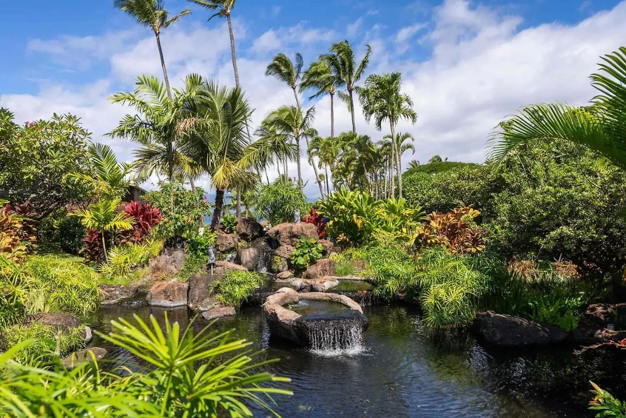 Napili Shores A202 Of Studio Condo カハナ